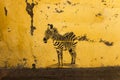 Graffiti Zebra